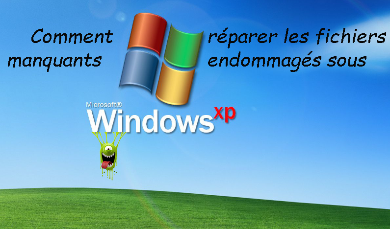 WinXP